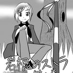 岩棍のストラ第1巻